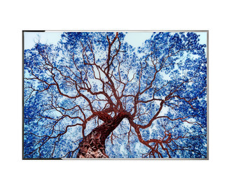 Пано Tree Of Dream