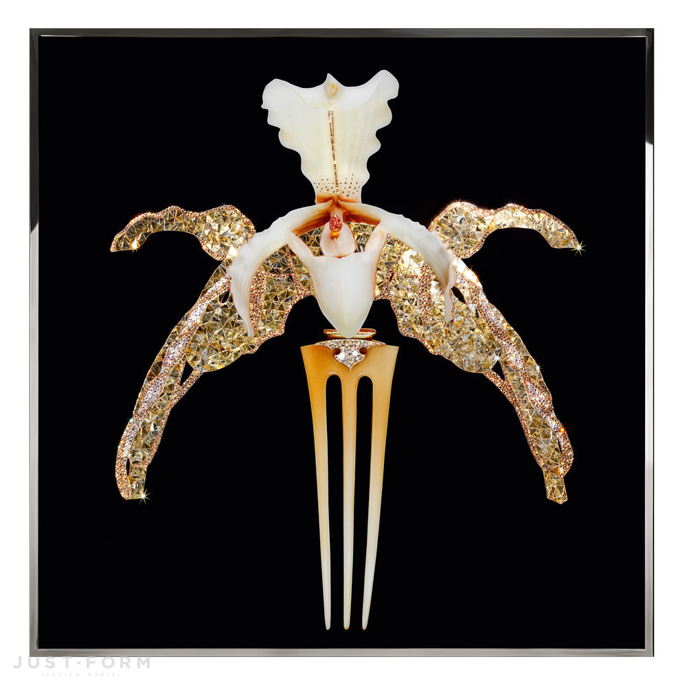 Пано Orchidea Lalique фабрика Visionnaire фотография № 1