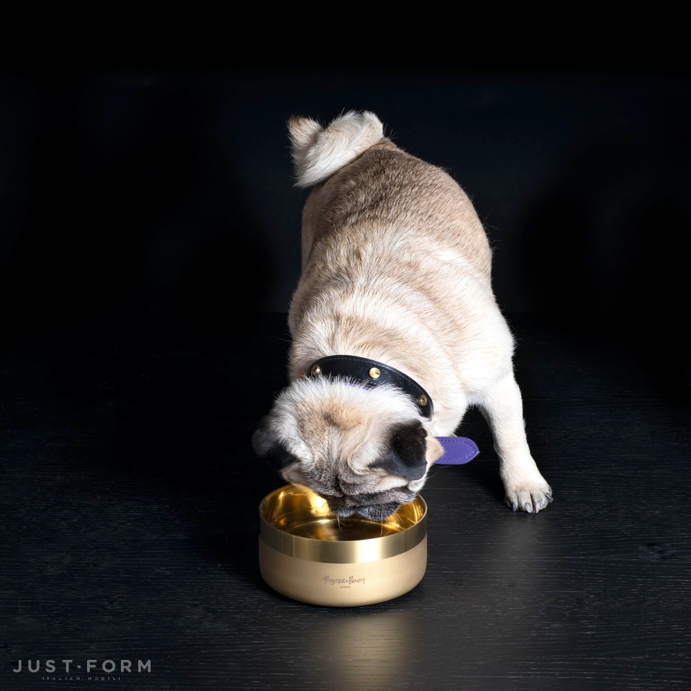 Миска для собаки Dog Bowl / Small / Brass фабрика Buster + Punch фотография № 3