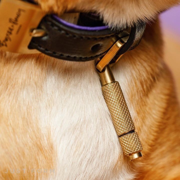 Ошейник для собаки Dog Collar / Black / Purple / Brass фабрика Buster + Punch фотография № 18