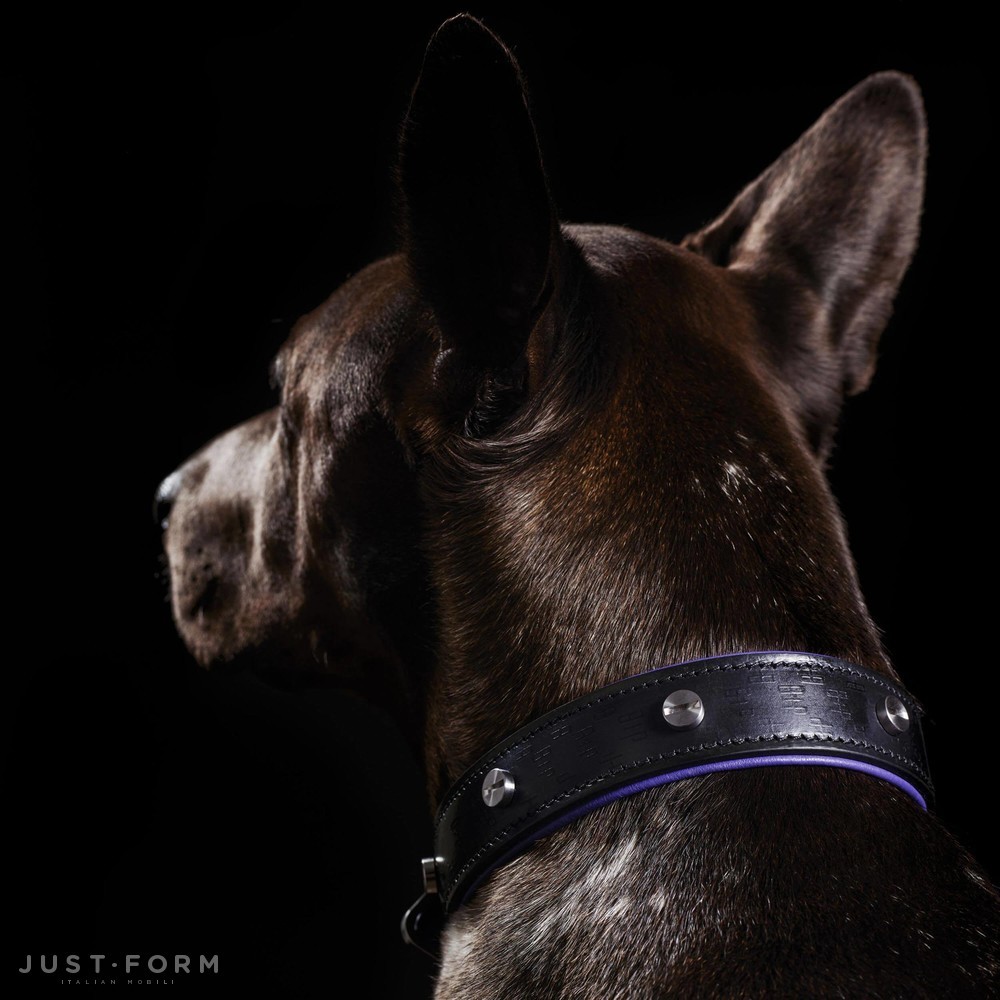 Ошейник для собаки Dog Collar / Black / Purple / Steel фабрика Buster + Punch фотография № 7