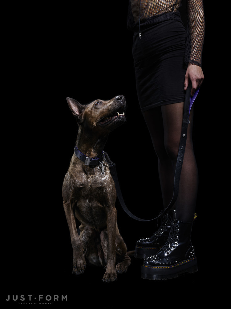 Ошейник с поводком Dog Collar & Lead / Black / Purple / Steel фабрика Buster + Punch фотография № 9