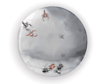 Зеркало Concave Metamorphosis