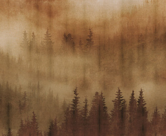 Обои Mist