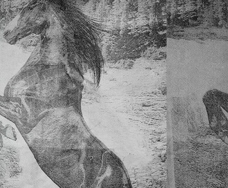 Обои El Caballo De Andy