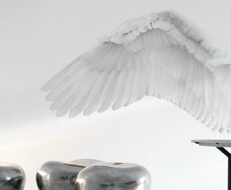 Обои White Angel