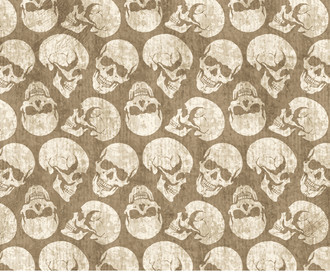 Обои Skulls