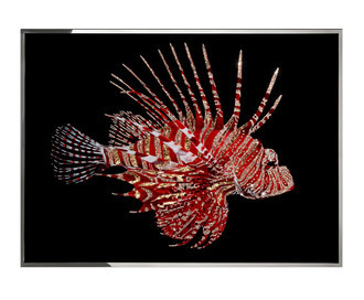 Панно Pesce Scorpione