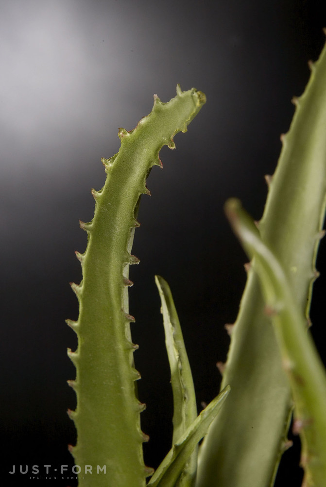 Искусственное растение Aloe фабрика VGnewtrend фотография № 2