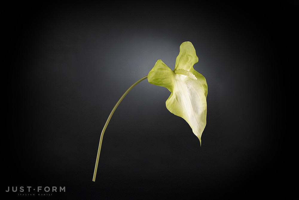 Искусственное растение Anthurium Giant фабрика VGnewtrend фотография № 4