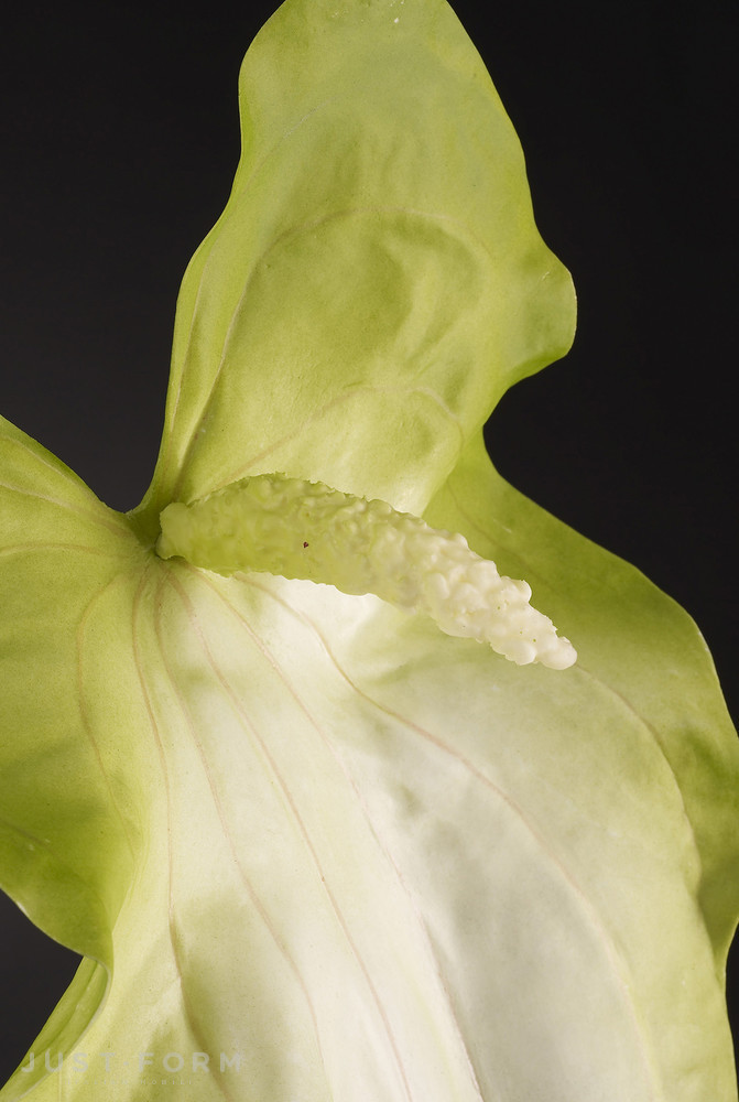 Искусственное растение Anthurium Giant фабрика VGnewtrend фотография № 5