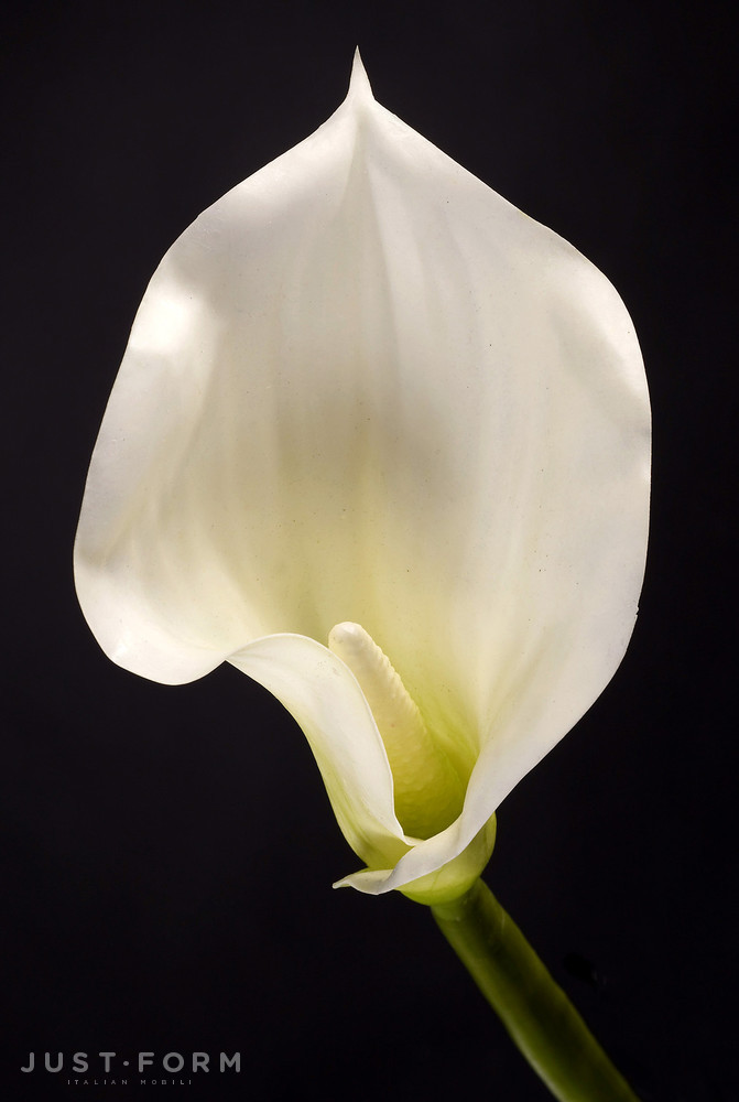 Искусственное растение Calla Lily фабрика VGnewtrend фотография № 2