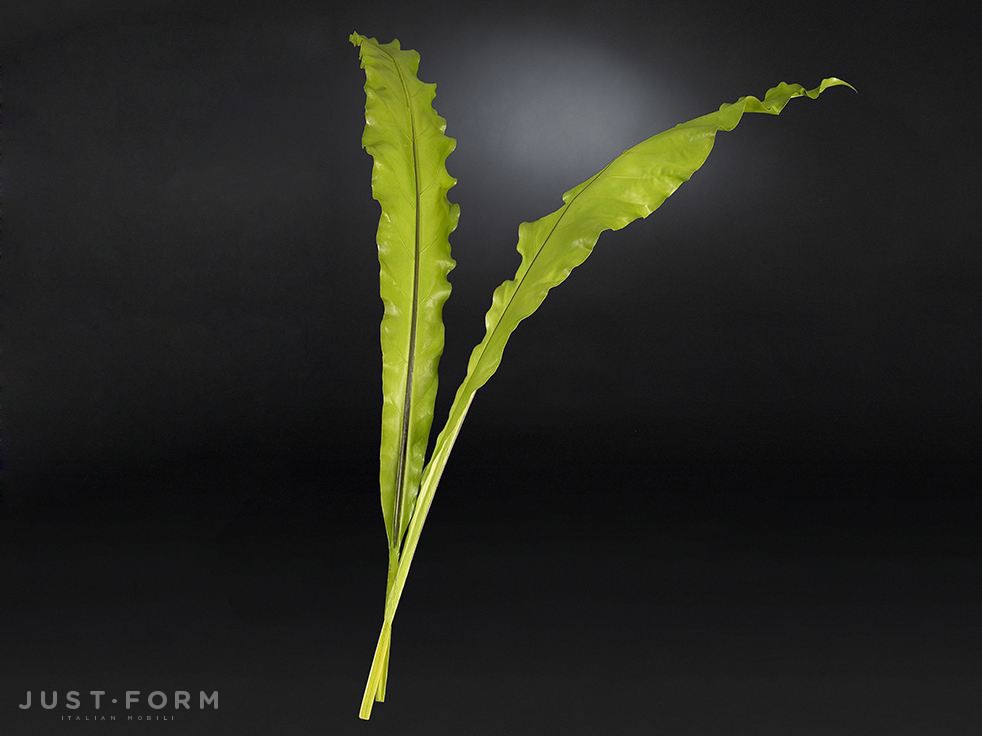 Искусственное растение Asplenium Leaf фабрика VGnewtrend фотография № 1