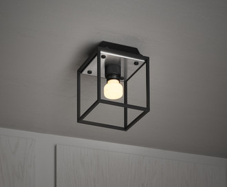 Потолочный светильник Caged Ceiling 1.0 / S / Brushed Steel