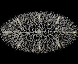 Люстра Hollywood Chandelier Oval