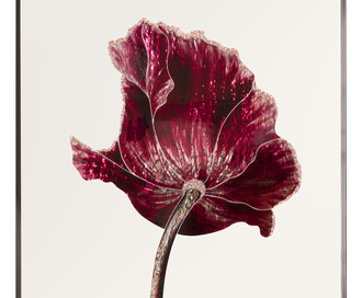 Панно Opium