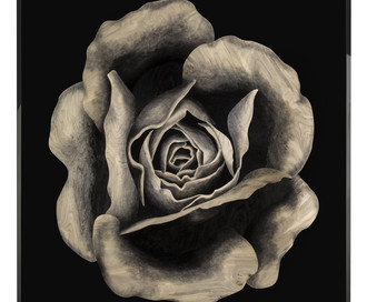 Панно Rosa Fossile