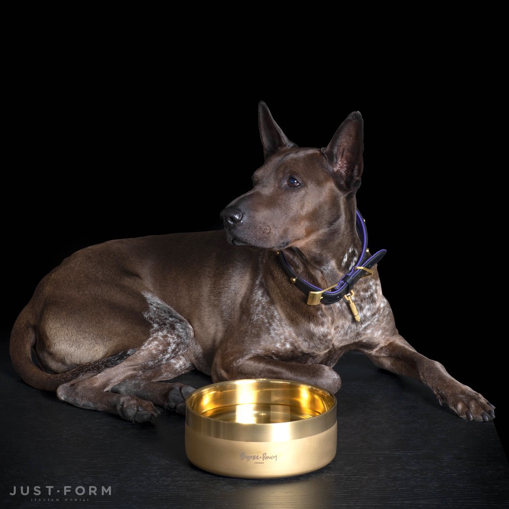 Миска для собаки Dog Bowl / Large / Brass фабрика Buster + Punch фотография № 3