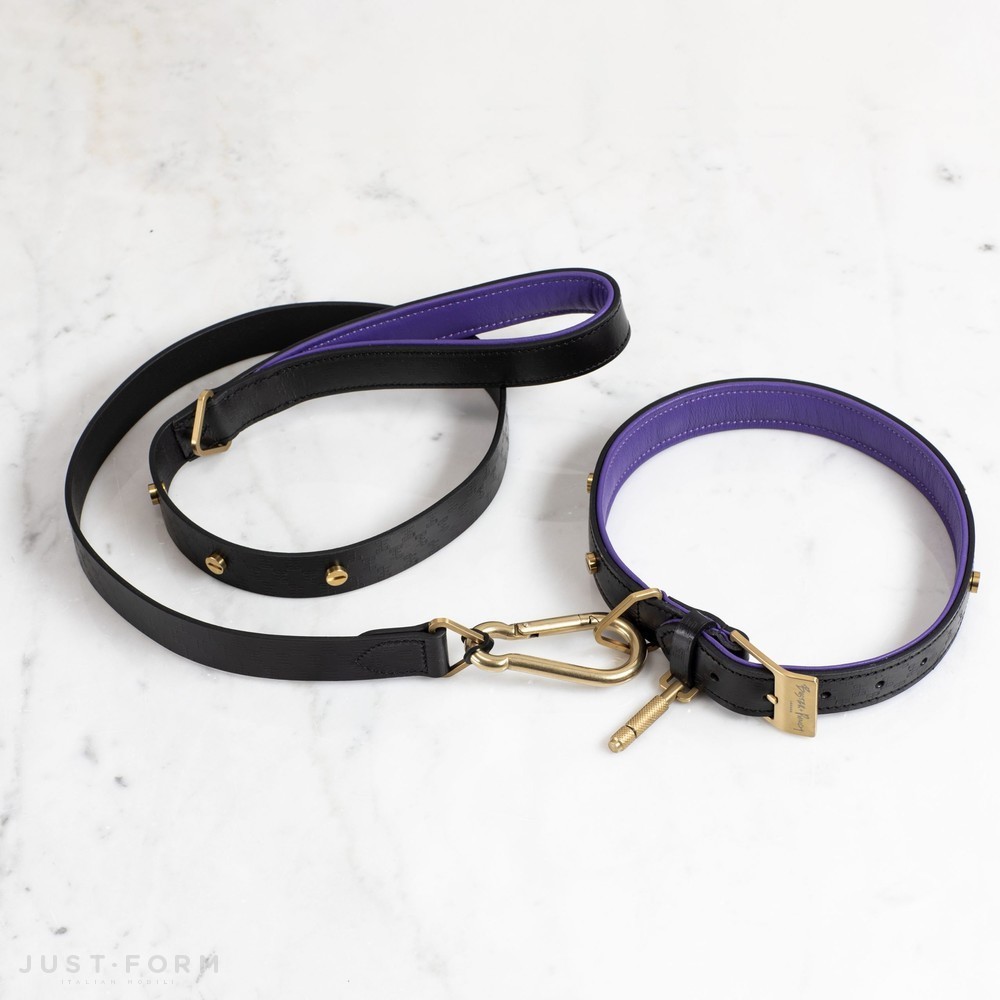 Ошейник для собаки Dog Collar / Black / Purple / Brass фабрика Buster + Punch фотография № 3