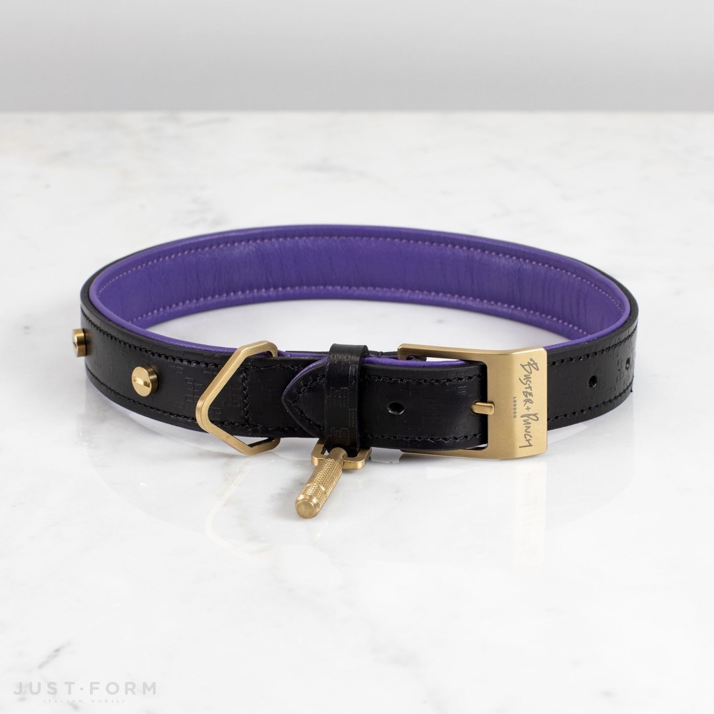 Ошейник для собаки Dog Collar / Black / Purple / Brass фабрика Buster + Punch фотография № 2
