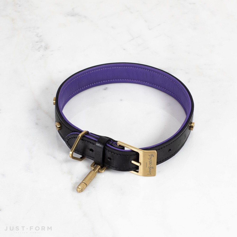 Ошейник с поводком Dog Collar & Lead / Black / Purple / Brass фабрика Buster + Punch фотография № 4