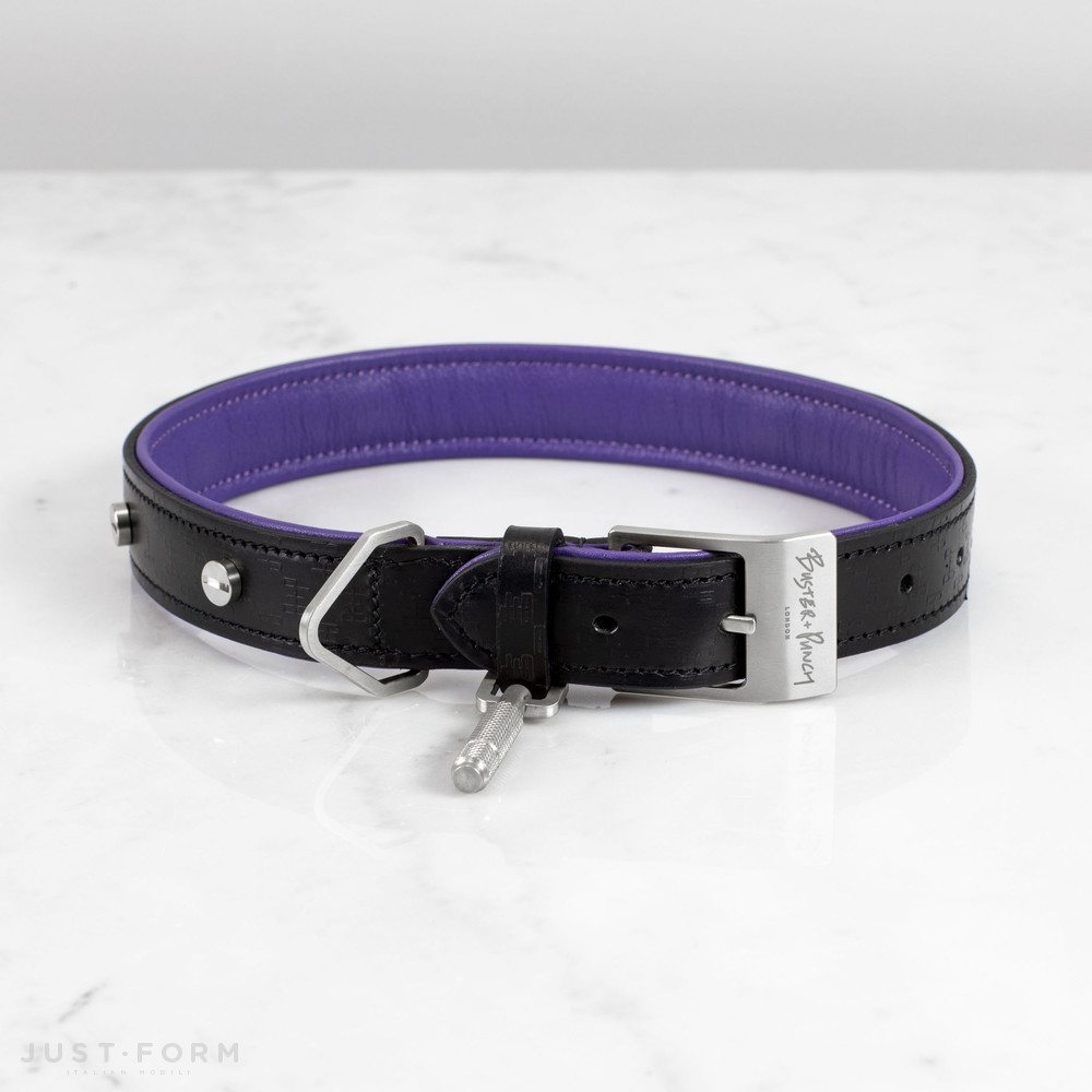 Ошейник с поводком Dog Collar & Lead / Black / Purple / Steel фабрика Buster + Punch фотография № 3
