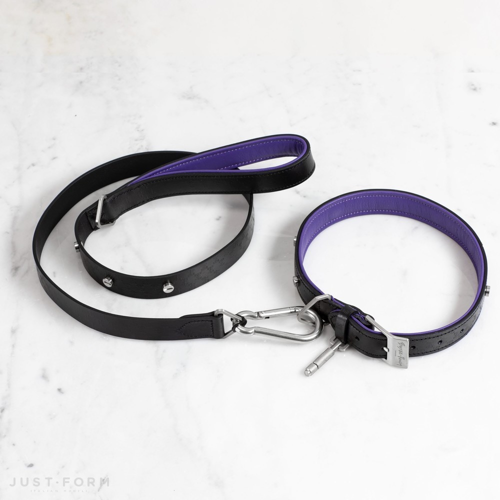 Ошейник с поводком Dog Collar & Lead / Black / Purple / Steel фабрика Buster + Punch фотография № 1