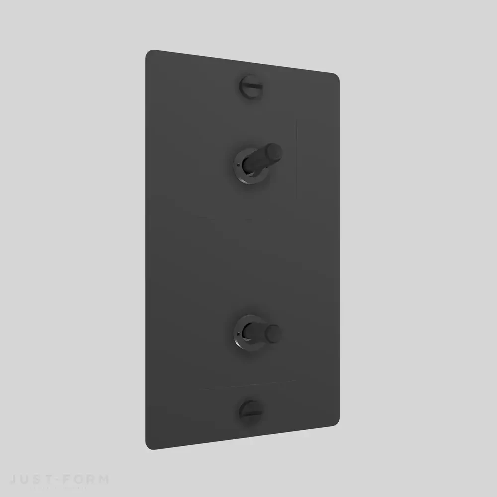 Двухтумблерный выключатель 2G Toggle / Vertical / Cross / Black фабрика Buster + Punch фотография № 1