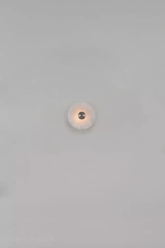 Бра и потолочный светильник Bide Wall & Ceiling Light фабрика Bert Frank фотография № 26