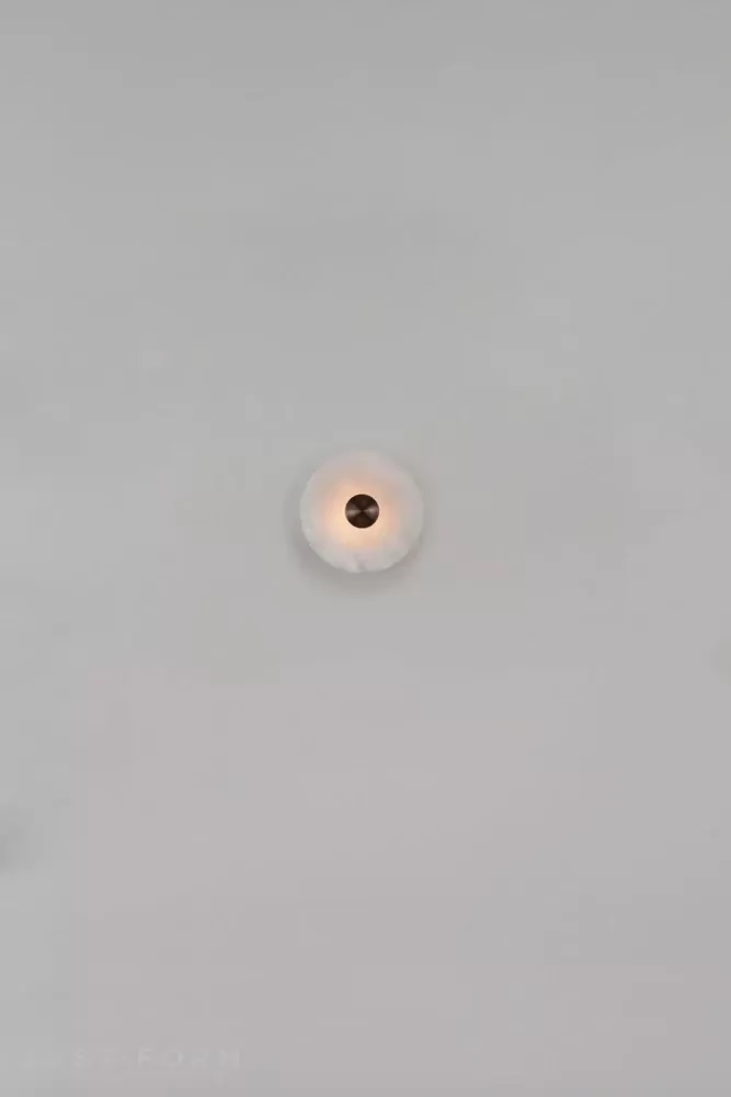 Бра и потолочный светильник Bide Wall & Ceiling Light фабрика Bert Frank фотография № 22